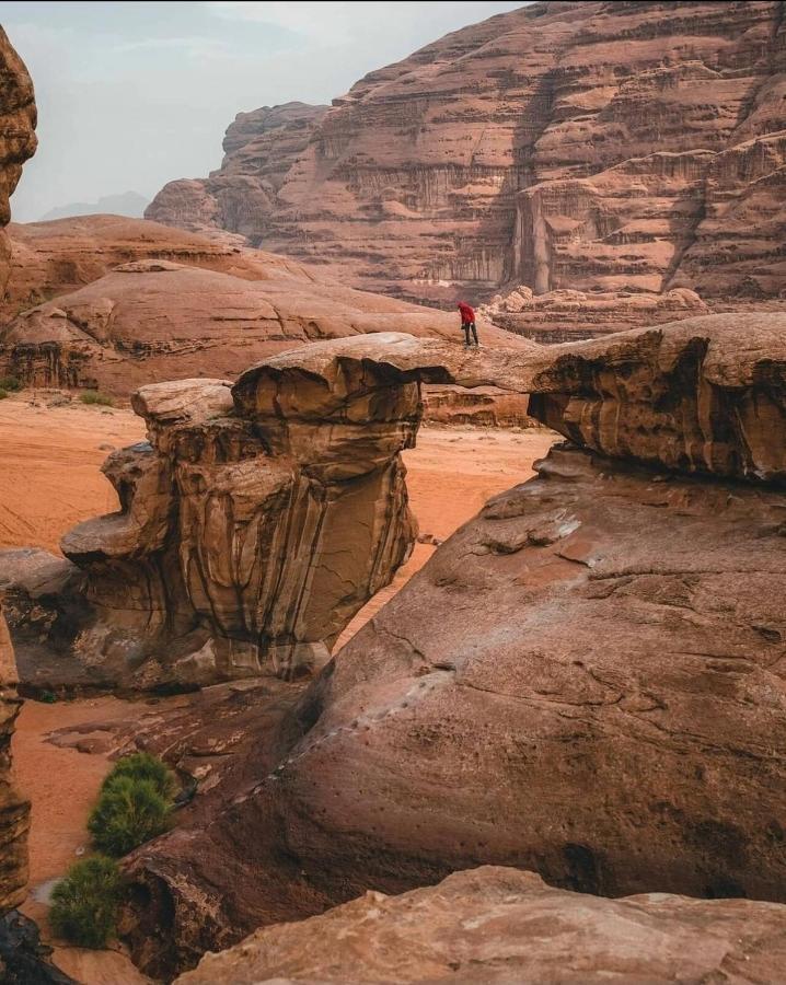Rehana Rum Camp Wadi Rum Zewnętrze zdjęcie